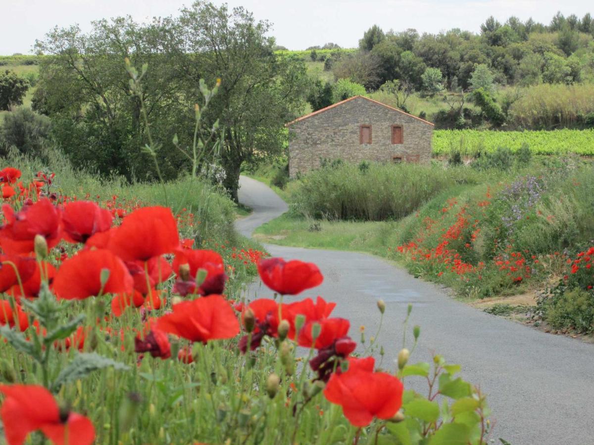 Chambre D'Hotes Maison Splendide Sainte-Valière Εξωτερικό φωτογραφία