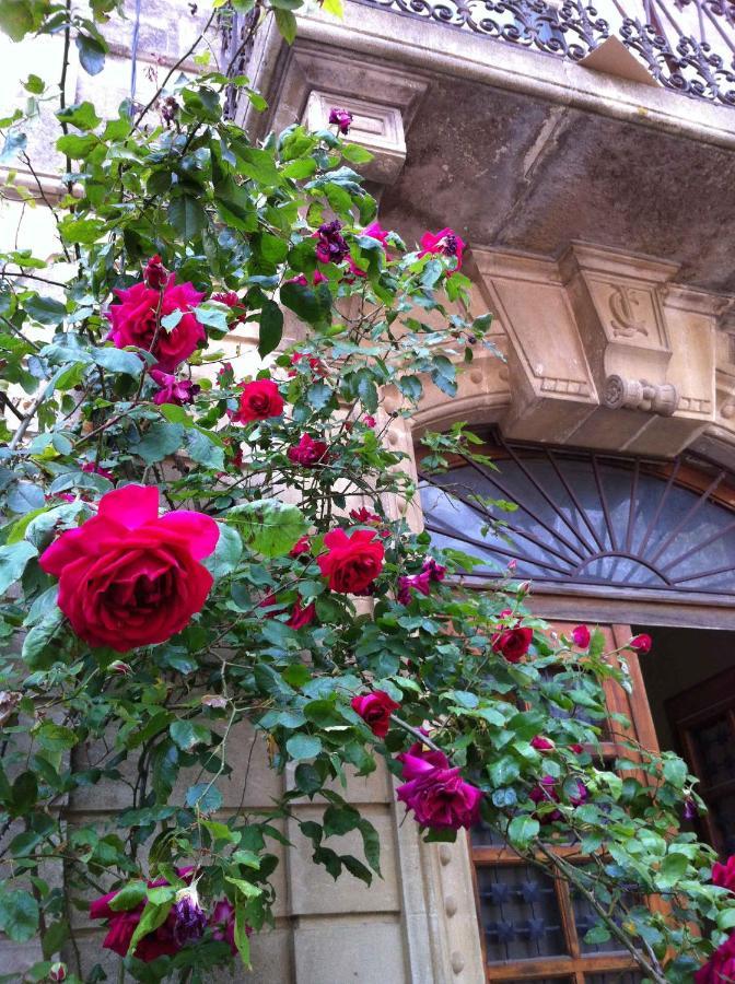 Chambre D'Hotes Maison Splendide Sainte-Valière Εξωτερικό φωτογραφία