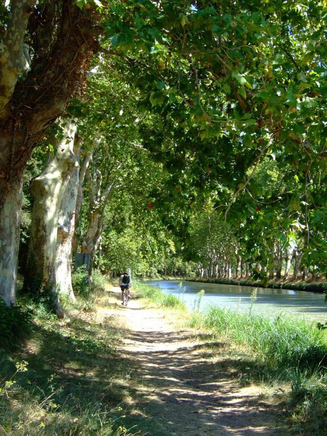 Chambre D'Hotes Maison Splendide Sainte-Valière Εξωτερικό φωτογραφία